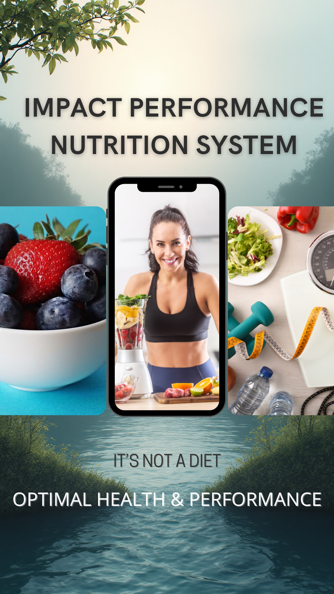 Impact Performance Nutrition System