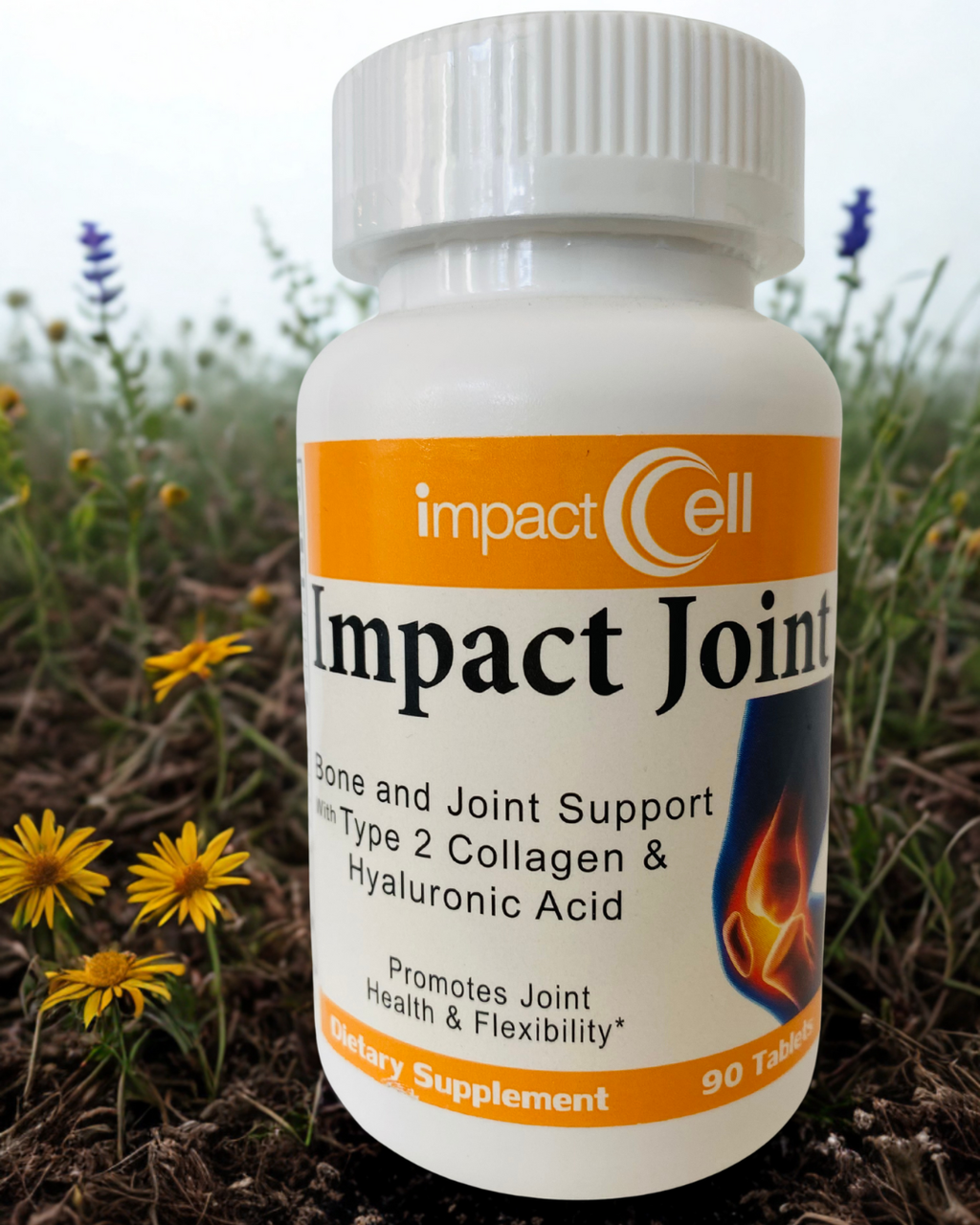 Remove Joint & Back Pain