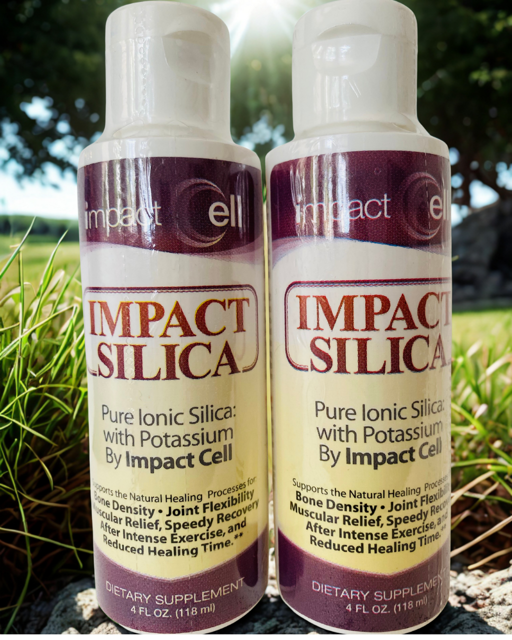 Impact Silica Twin Pack